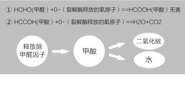 蓋銳甲醛魔方去除甲醛新房異味強力家用型清除劑裝修除味專利產(chǎn)品